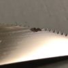 Blue Mikado steak knife blade close up