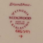 Wedgwood china pattern Dianthus back stamp